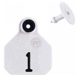 Y-Tex AA Bag of Mini 1* Pre-Numbered Tags With Buttons (25/bag)