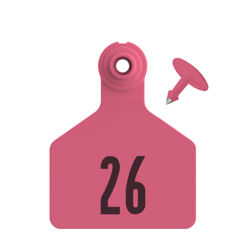 Dark Pink Z-Tag Bag of Stockman 2-Piece Calf Pre-Numbered (1 to 25) Tags With Buttons (25/bag)