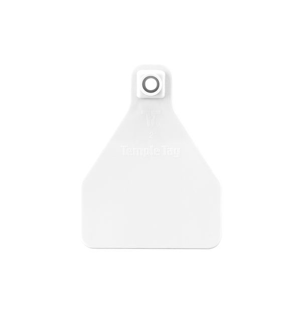 TEMPLE TAG Herdsman Tamperproof Medium Calf Blank Ear Tag with Button (25/bag)
