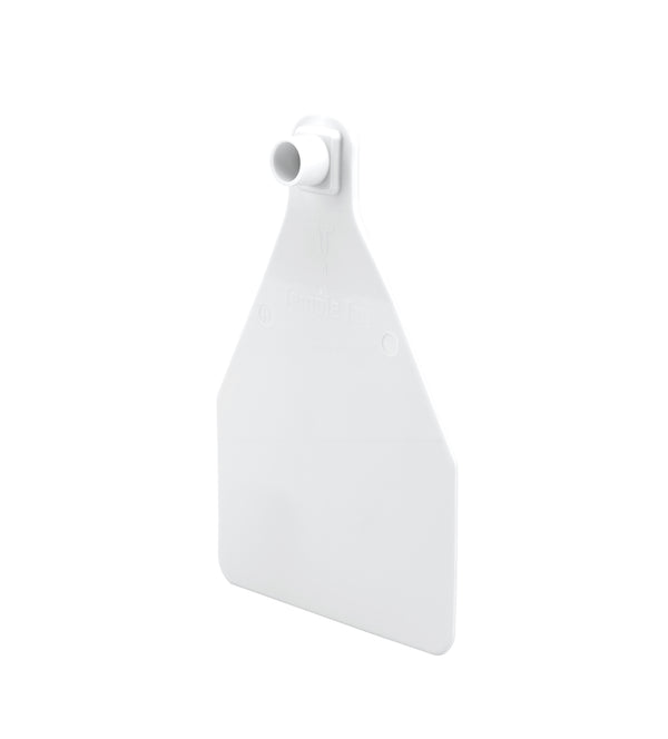 Temple Herdsman Medium Calf Numbered 1 Side Ear Tag with Blank Button