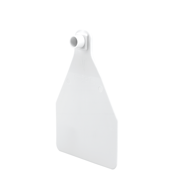 Temple Herdsman Large Cow Custom 1 Side Ear Tag with Button