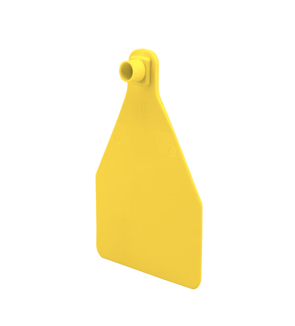 Temple Herdsman Medium Calf Numbered 1 Side Ear Tag with Blank Button
