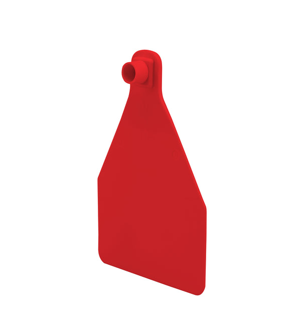 Temple Herdsman Medium Calf Numbered 1 Side Ear Tag with Blank Button