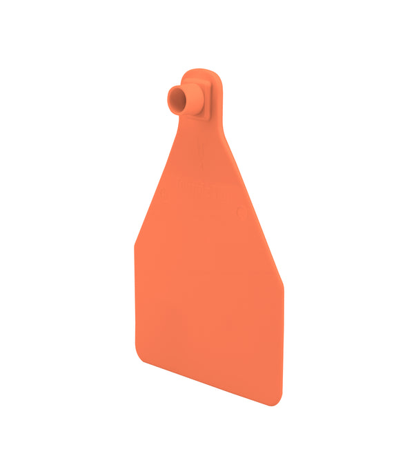 Temple Herdsman Medium Calf Numbered 1 Side Ear Tag with Blank Button