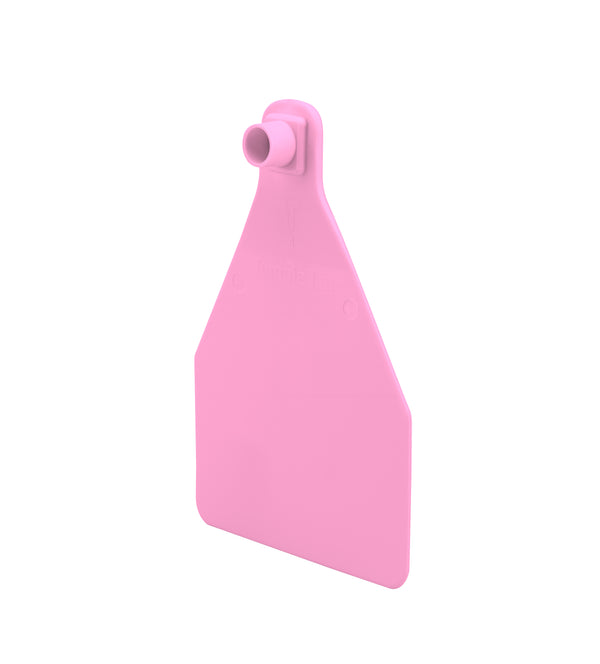 Temple Herdsman Medium Calf Numbered 1 Side Ear Tag with Blank Button