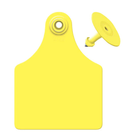 ALLFLEX Maxi Cow/Calf Blank Ear Tags with Blank Buttons (25/bag) In Stock