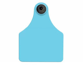 Allflex Global Large Blank Tag With Button - Tamperproof - USDA 840 Visual
