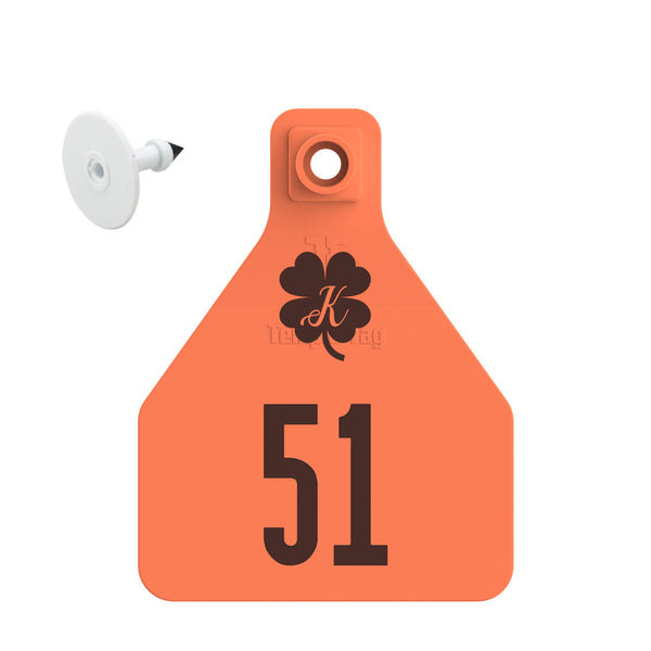 Temple Herdsman Medium Calf Custom 1 Side Ear Tag with Blank Button