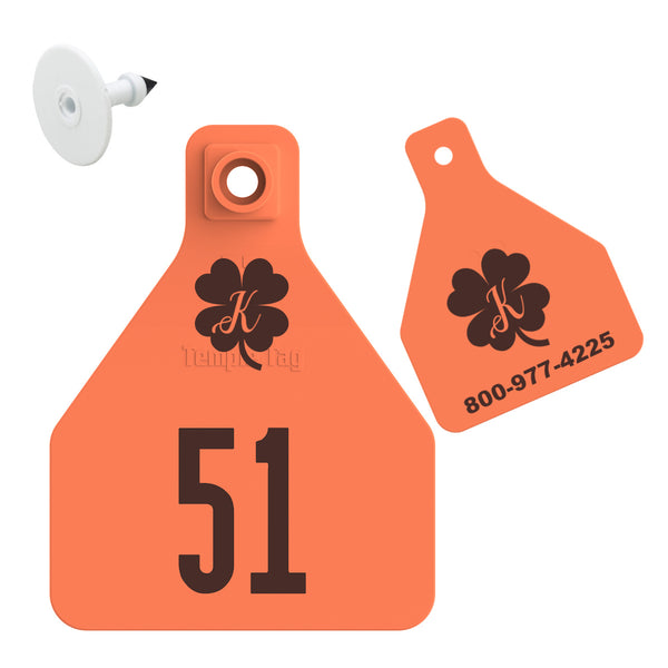 Temple Herdsman Medium Calf Custom 2 Side Ear Tag with Blank Button