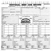 Herd Management Sheets (50/bag)