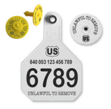 Y-Tex AA Large 4* Numbered 2 Sides Tag With Button - Tamperproof - Matched Set - FDX